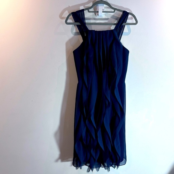 WHITE BY VERA WANG Sz 8 Vertical Ruffles Sheer Lined Knee Length Dress NEW - Picture 2 of 11